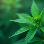 Why Bitcoin Price Can’t Break $100,000 Right Now, According to Mike Novogratz